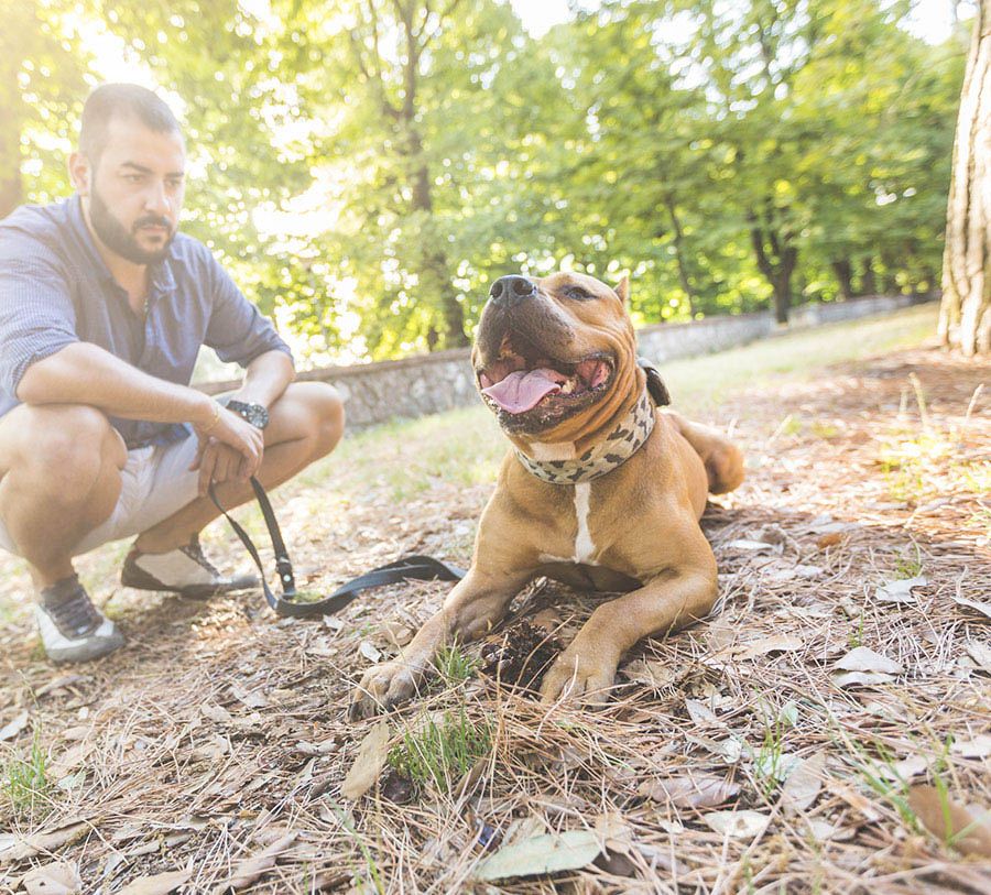 Hombre con perro