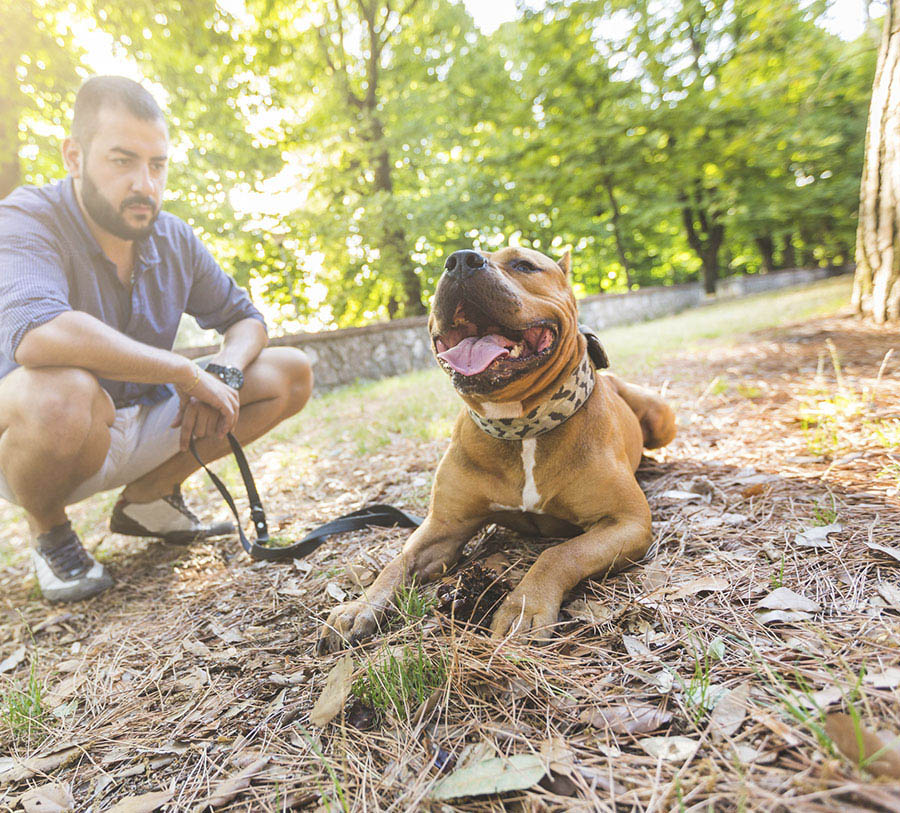 Hombre con perro